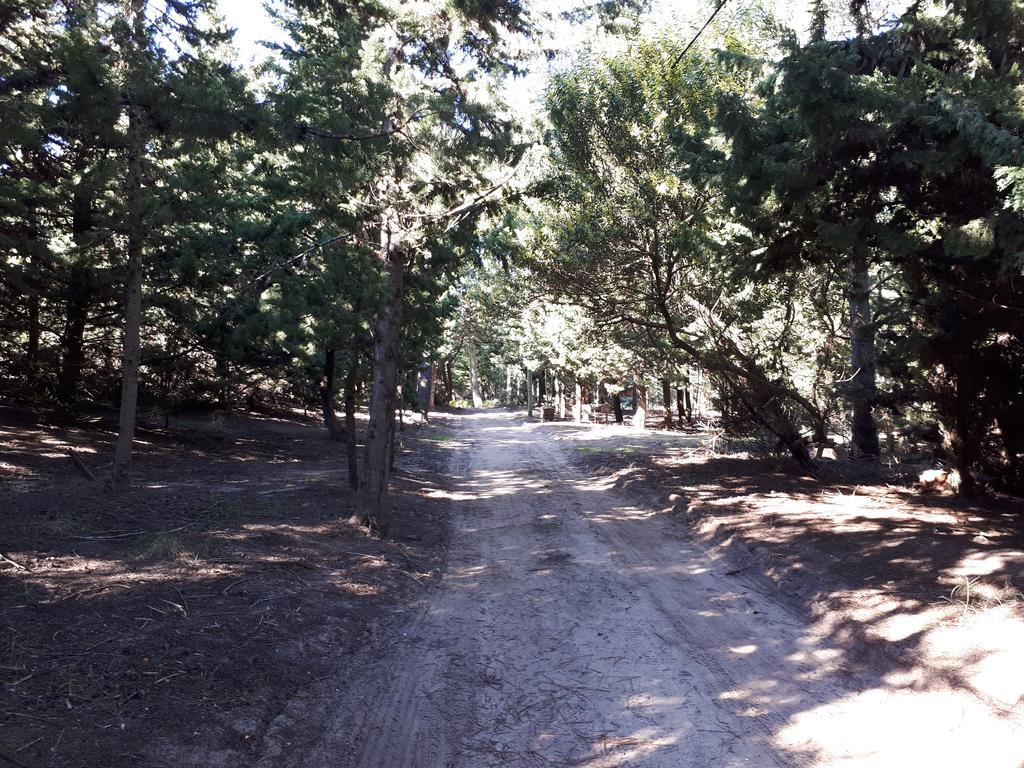 Villa La Gringa, Un Espacio Unico En El Medio Del Bosque Mar de Las Pampas Exterior foto